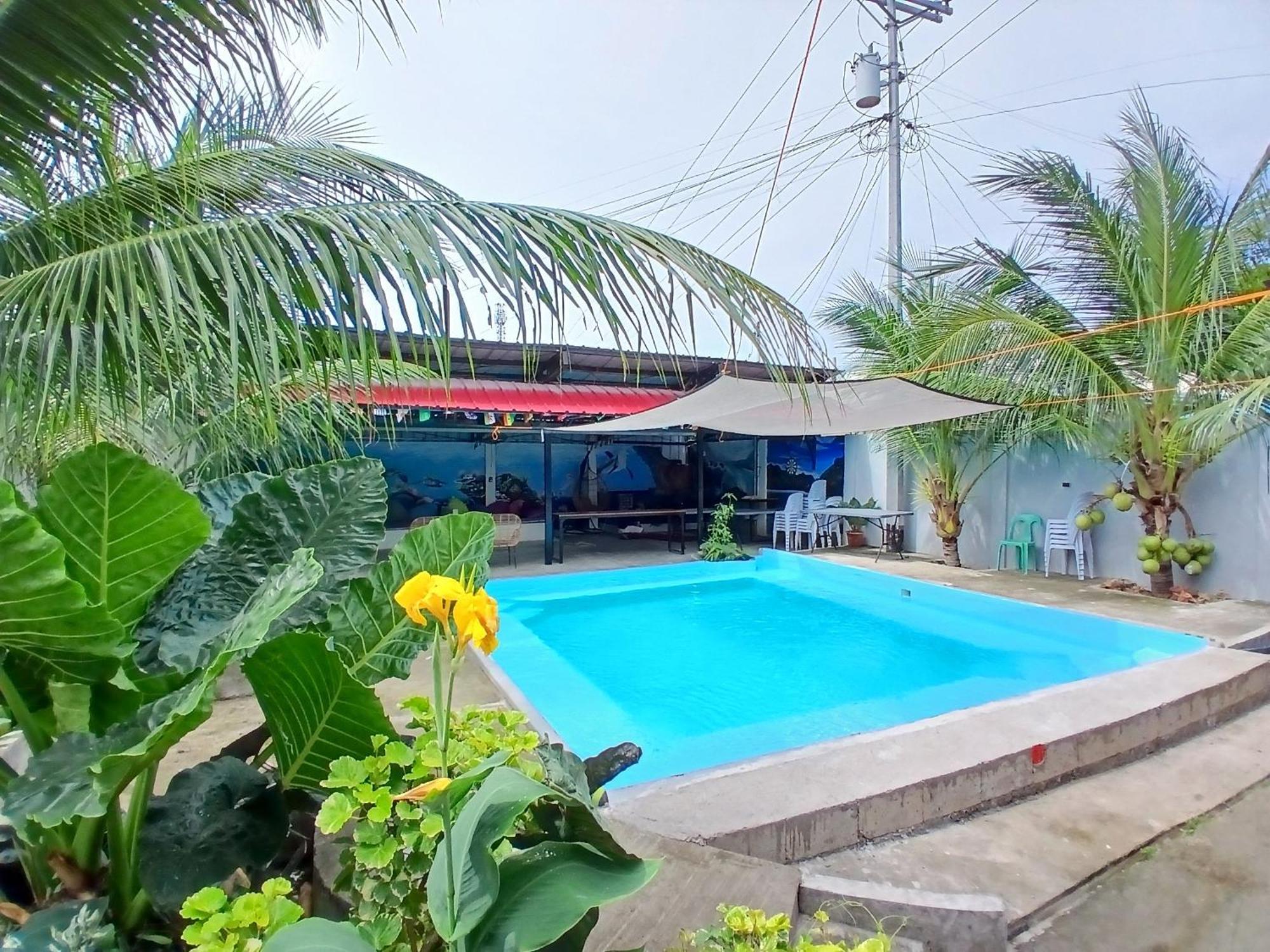 Ananas Guesthouse Моалбоал Экстерьер фото