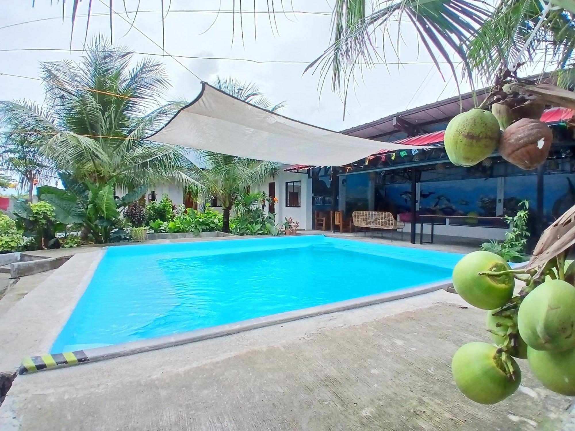 Ananas Guesthouse Моалбоал Экстерьер фото
