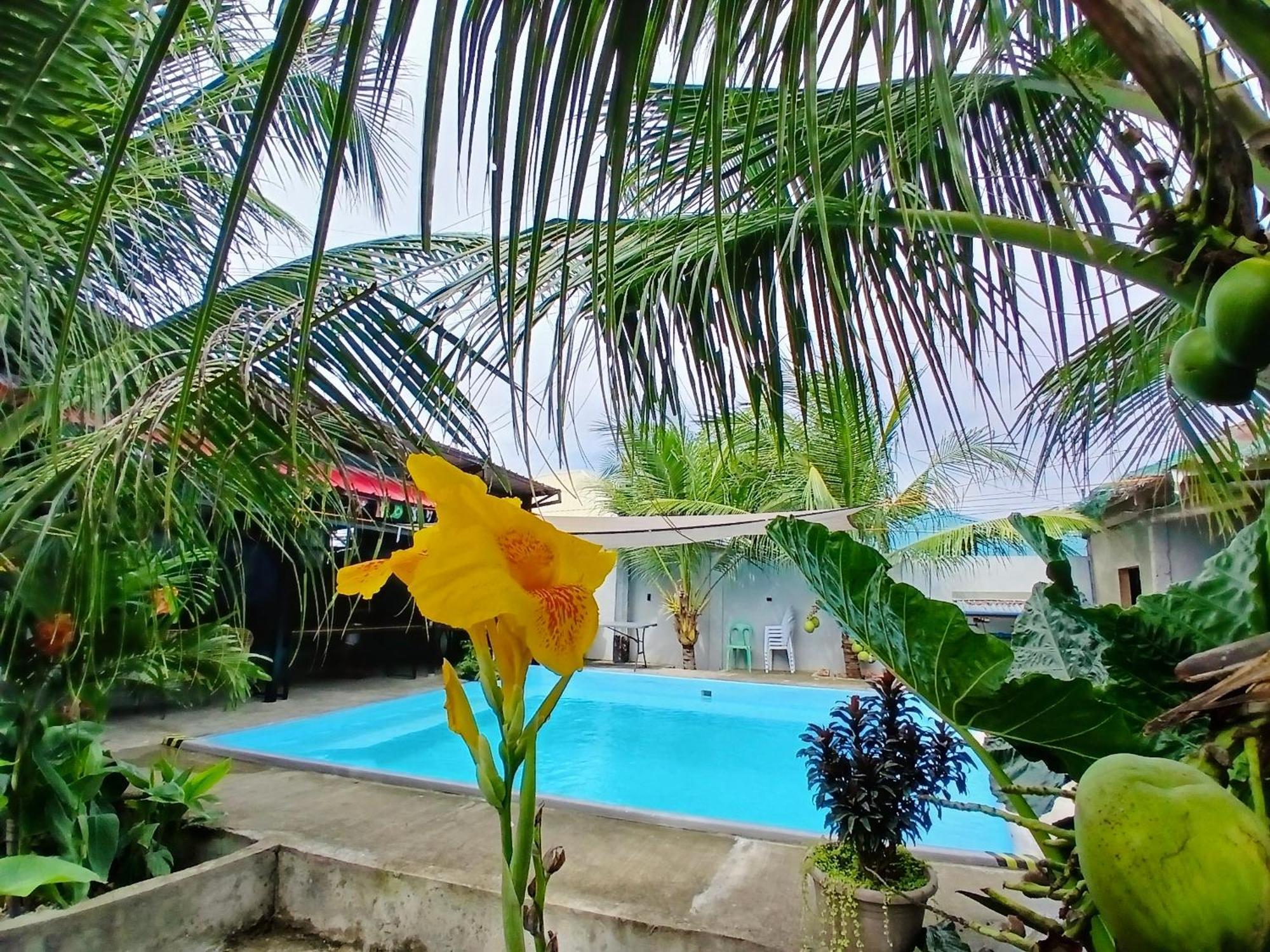 Ananas Guesthouse Моалбоал Экстерьер фото