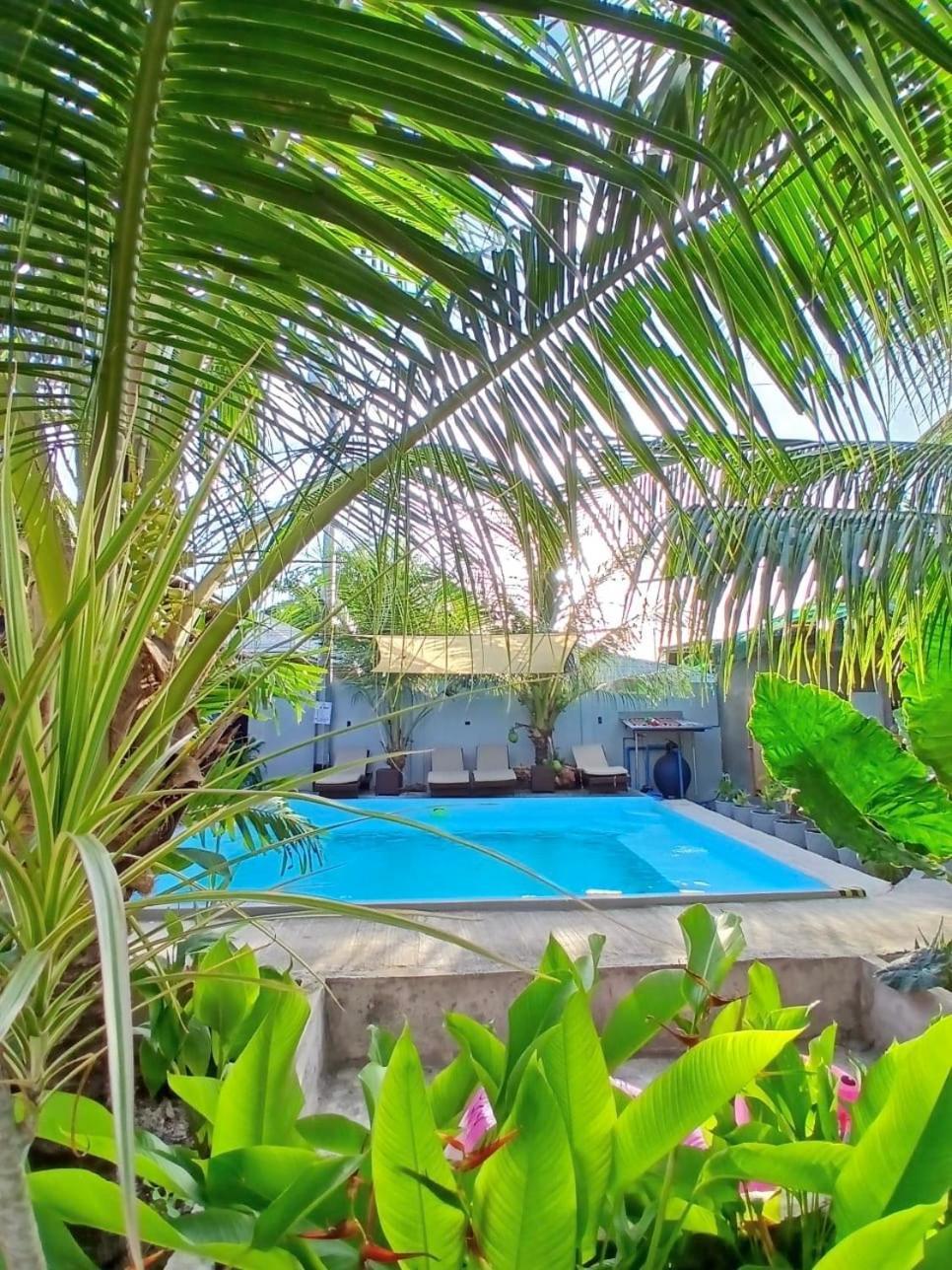 Ananas Guesthouse Моалбоал Экстерьер фото