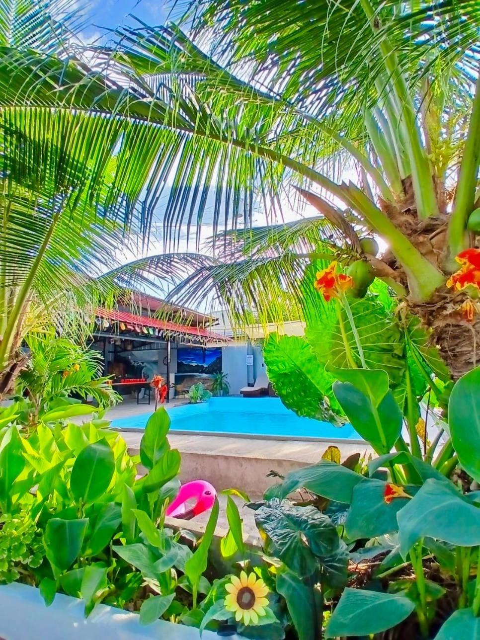 Ananas Guesthouse Моалбоал Экстерьер фото