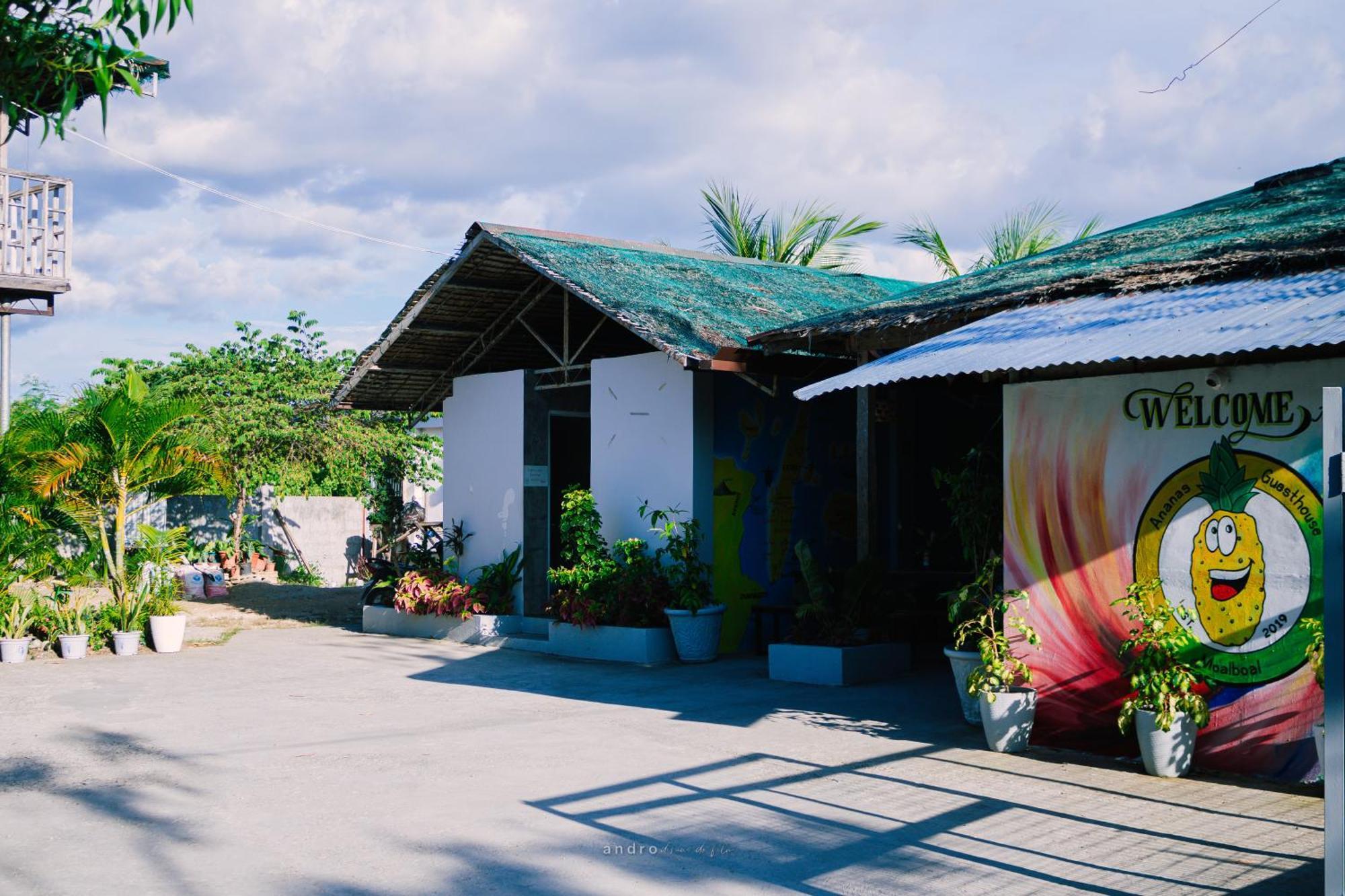 Ananas Guesthouse Моалбоал Экстерьер фото