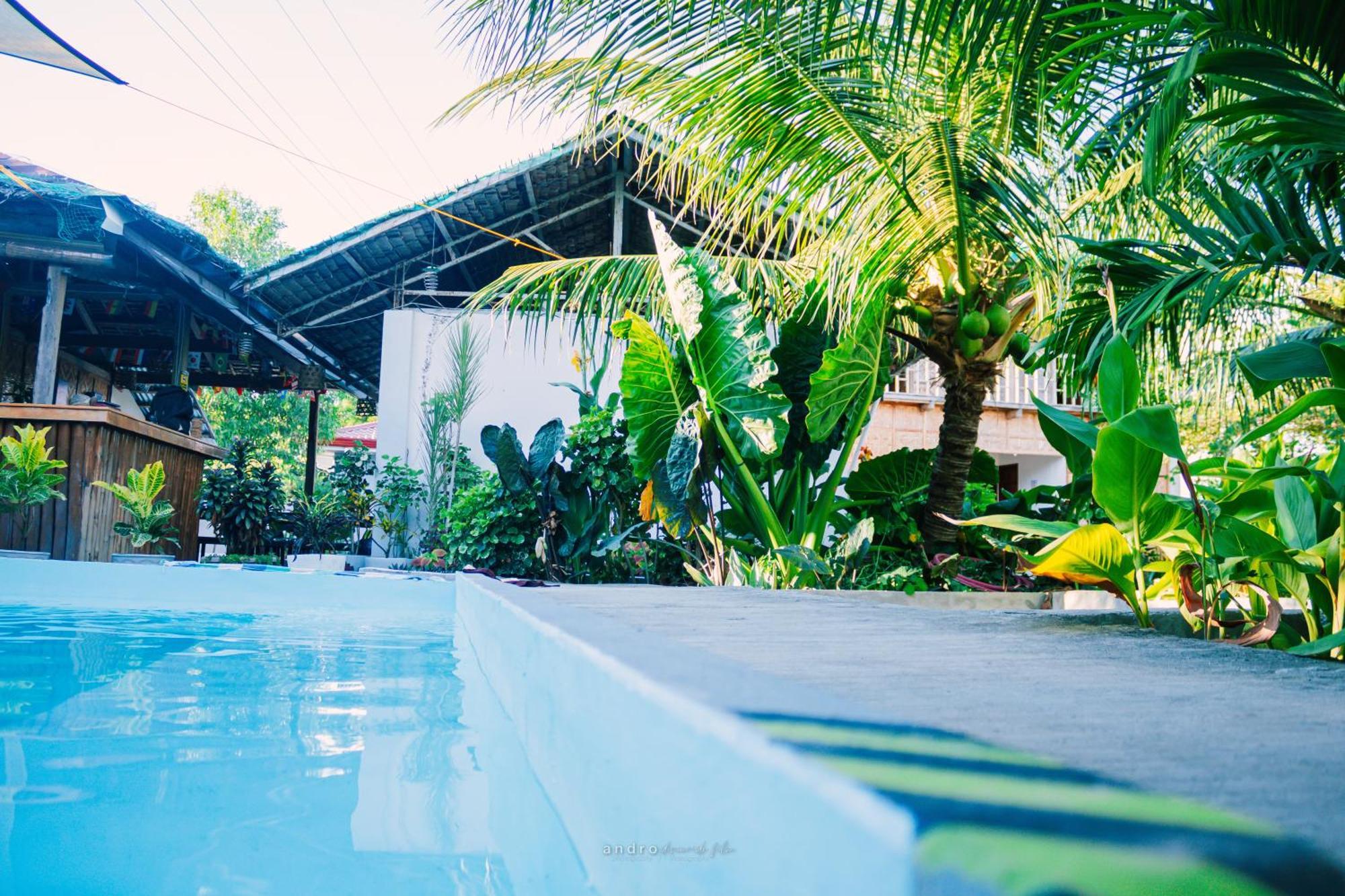 Ananas Guesthouse Моалбоал Экстерьер фото